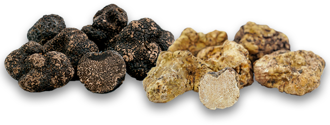 truffles